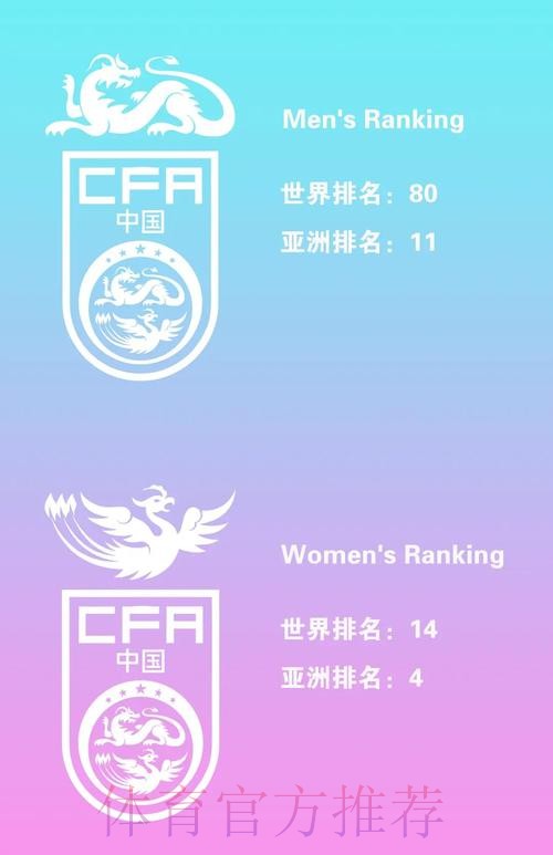 世界杯外围平台优势全面比较